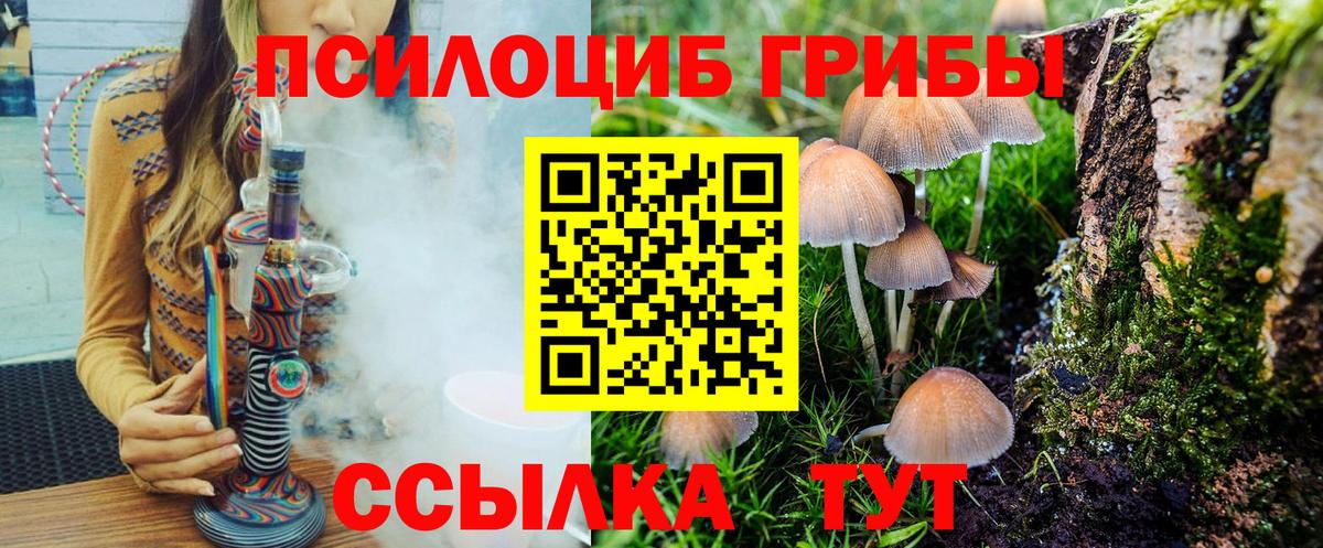 Галлюциногенные грибы GOLDEN TEACHER Апатиты