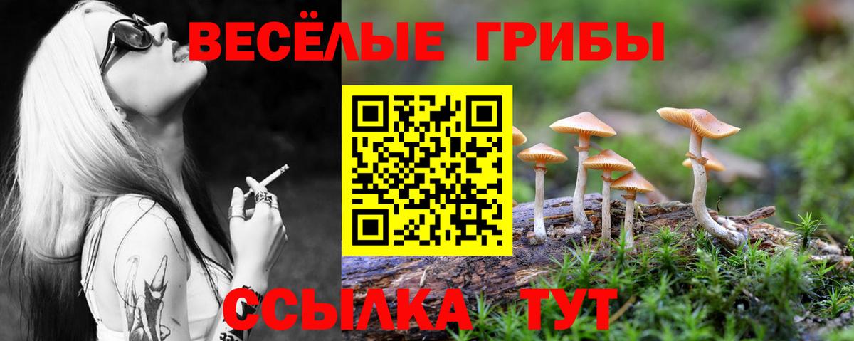 Псилоцибиновые грибы прущие грибы  Вход с VPN  Апатиты 