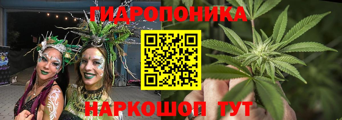 Апатиты  МАРИХУАНА планчик  Канабис марихуана  Вход с VPN  Канабис конопля 